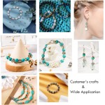 PH PandaHall 300 pièces 6 styles de perles d'espacement en argent antique, tubes d'espacement en alliage métallique tibétain, rondelles plates en forme de fleur, petites perles en vrac pour bracelets, colliers, boucles d'oreilles, fournitures de fabricati PH PandaHall 300 pièces 6 styles de perles d'espacement en argent antique, tubes d'espacement en alliage métallique tibétain, rondelles plates en forme de fleur, petites perles en vrac pour bracelets, colliers, boucles d'oreilles, fournitures de fabricati