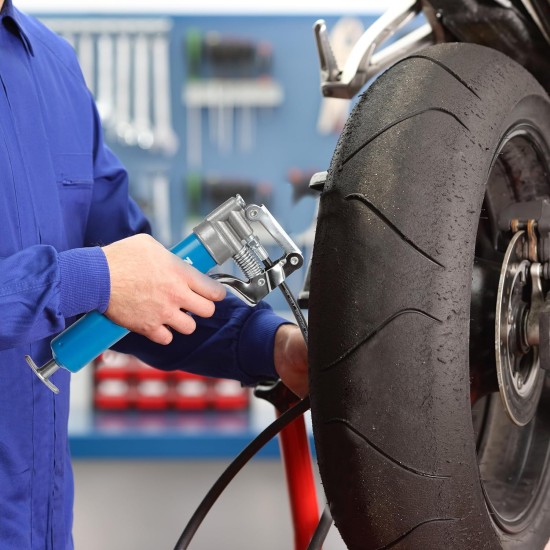 Mini pistolet à graisse (3000PSI) avec Double cartouche de graisse de 3oz et tuyau flexible de 12 pouces, coupleur renforcé pour automobile et Marine Mini pistolet à graisse (3000PSI) avec Double cartouche de graisse de 3oz et tuyau flexible de 12 pouces, coupleur renforcé pour automobile et Marine